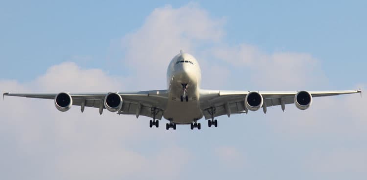 Passenger plane makes emergency landing after cat attacks pilot