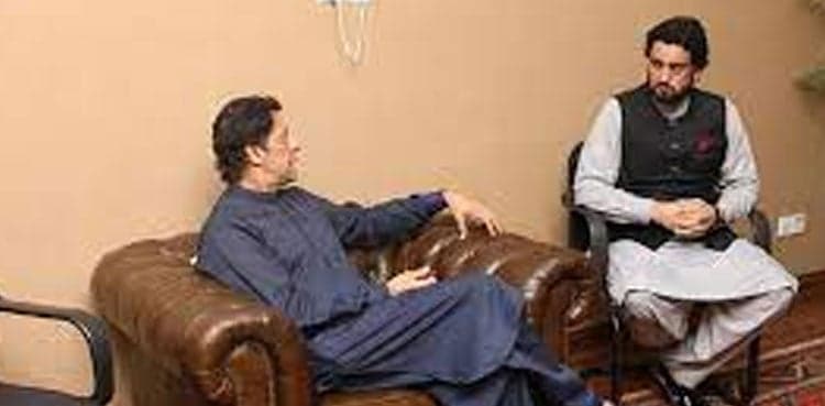 Senate polls: Afridi earns PM Imran's ire for wasting vote
