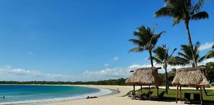 Fiji fears virus 'tsunami' after outbreak found to be Indian variant