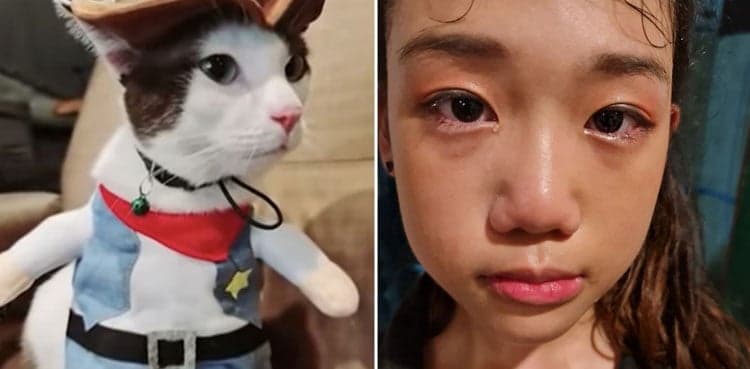 Little girl left heartbroken after snake devours her cat
