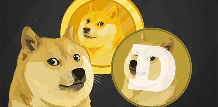Dogecoin: The Meme Cryptocurrency That Took the World by Storm