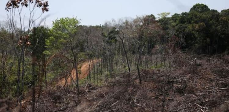 Scientists find only 3% of land areas unblemished by humans