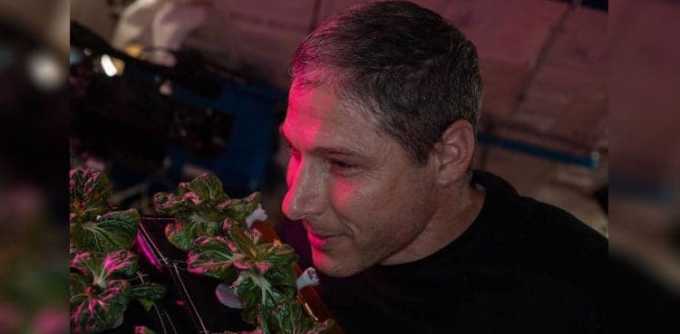 NASA astronaut harvests two different crops in space, enjoys leafy greens