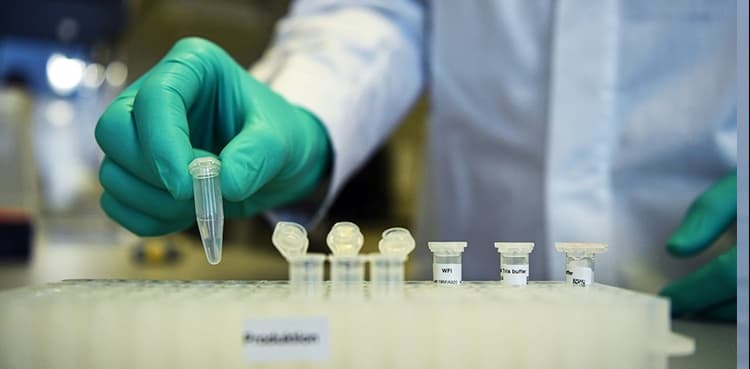 Pakistan begins preparation to produce its own COVID vaccine