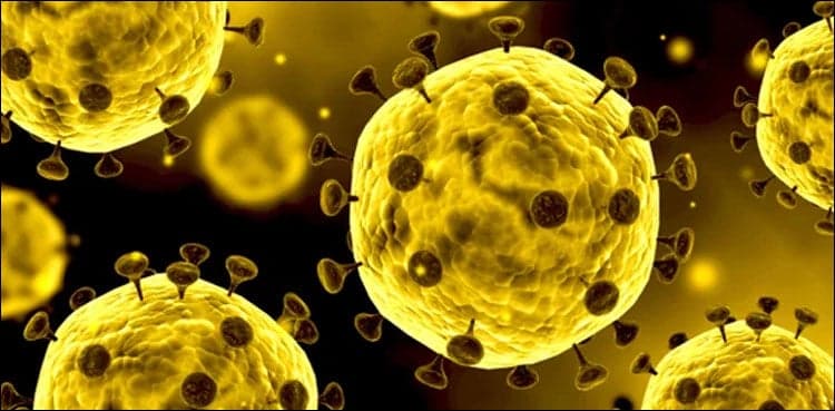 Sindh reports 521 more COVID-19 cases, eight deaths    