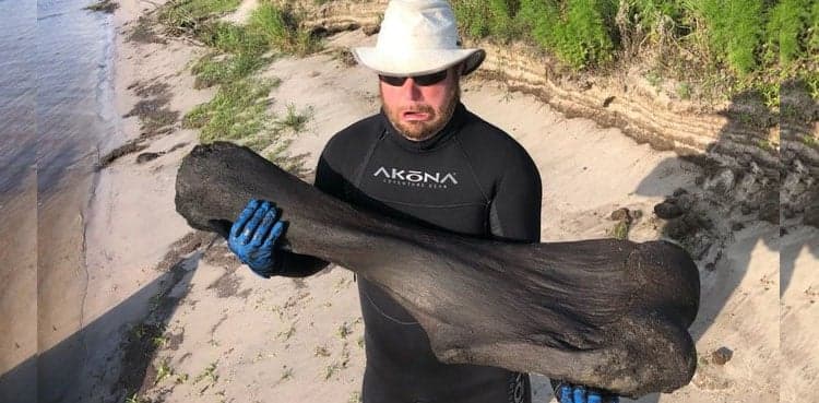 Scuba divers find Ice Age mammoth bone in river