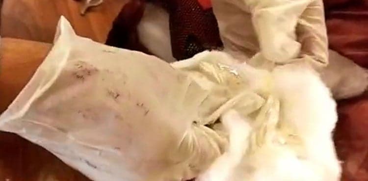 Bid to smuggle heroin concealed in garment parcel foiled