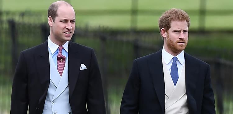 Prince Harry, William to reunite for unveiling of Diana statue