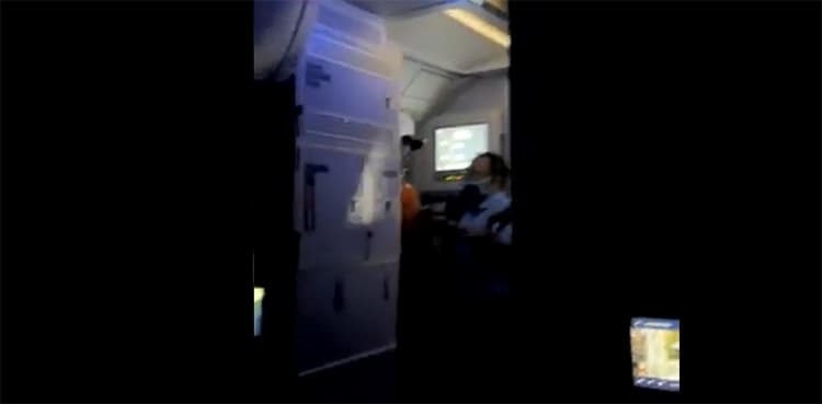 WATCH: Man trying to open US aircraft's door mid-air overpowered by passengers