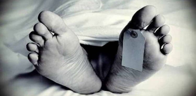 Sindh CM announces judicial probe into Nosheen's mysterious death