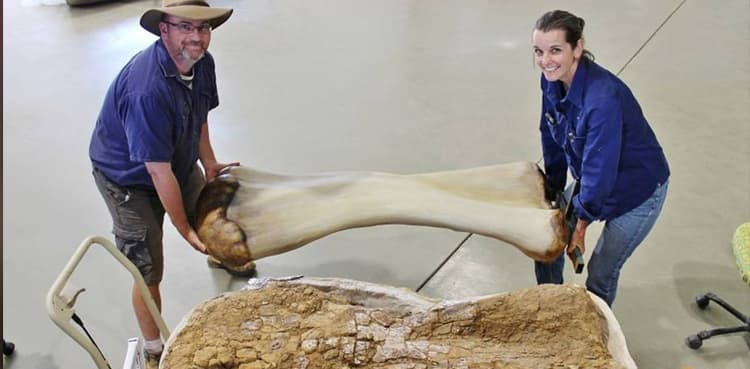 New dinosaur species discovered in Australia, one of world's biggest