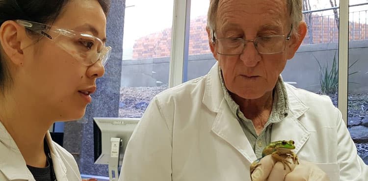 Frog whisperer: Australian scientist speaks to frogs, fears their silence