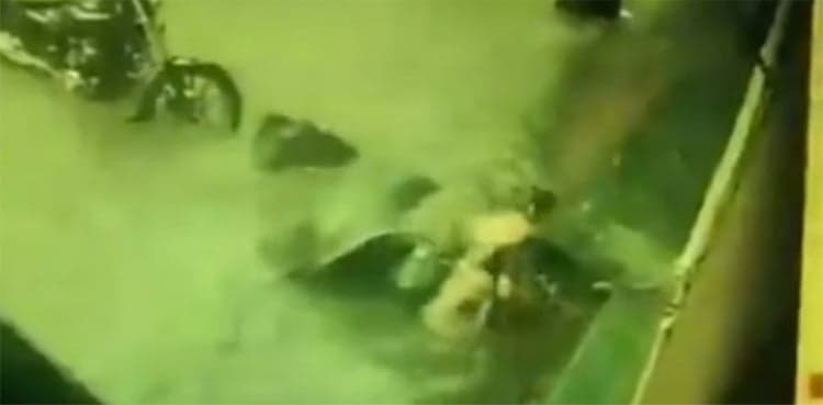 WATCH: Women fall in open manhole, remain unharmed