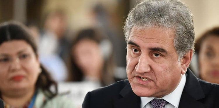 Pakistan would have been on white list if FATF decided on technical grounds: Shah Mahmood