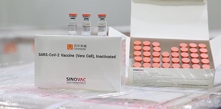 WHO approves China's Sinovac Covid vaccine