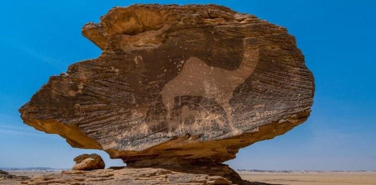 Five new sites in Arab, Europe regions inscribed on UNESCO’s World Heritage List