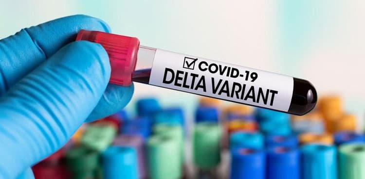 Karachi's coronavirus positivity ratio hits 23% as Delta variant spreads