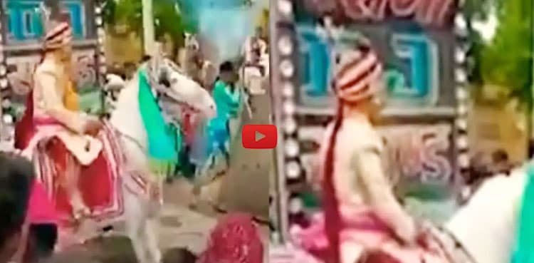 Wedding horse runs away with Indian groom, video goes viral