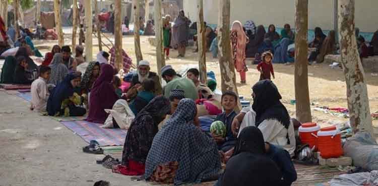 Islamabad police detain 17 illegal Afghan nationals 