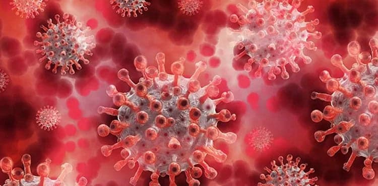 Pakistan sees 7,539 fresh COVID-19 cases at 11.91pc positivity rate