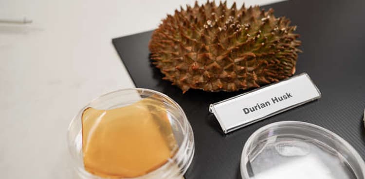 Scientists transform fruit leftovers into antibacterial bandages