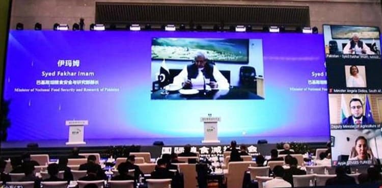 'Healthy forest ecosystems essential for sustainable agriculture production'