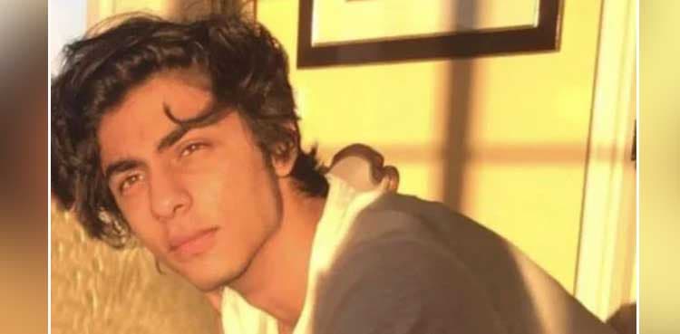 Aryan Khan, friend admit taking banned drugs before raid: report