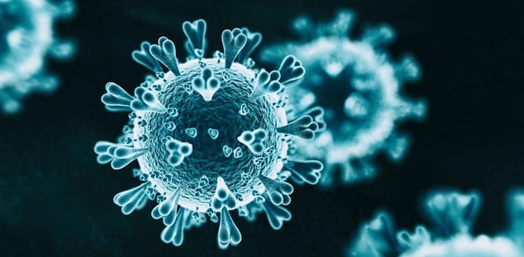Coronavirus: KP reports 77 infections, 185 recoveries in a day
