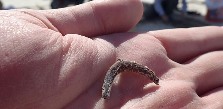 Scientists unearth evidence of earliest-known human use of tobacco