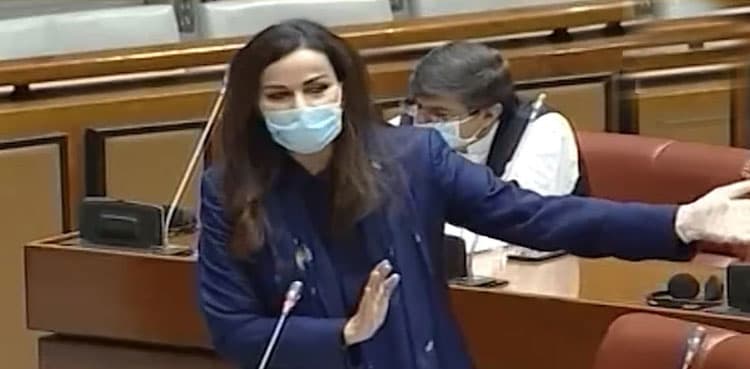 PPP demands govt to public agreement with banned TLP
