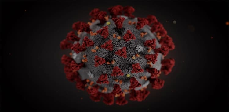 Pakistan records 303 Covid infections, five deaths in a day