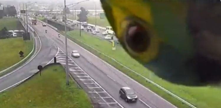 Viral video: Parrot becomes highway traffic inspector