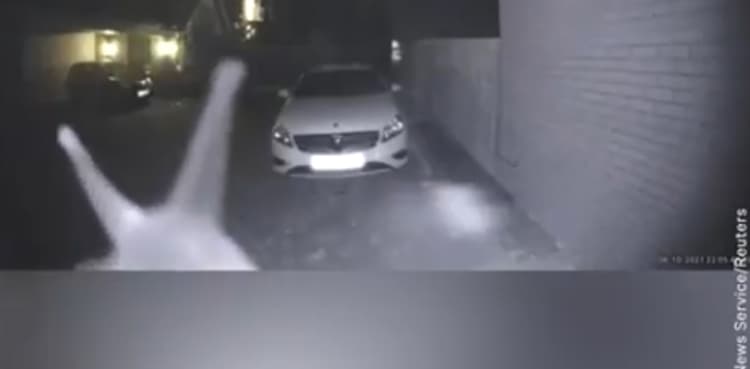 WATCH: Woman baffled after finding mysterious creature ringing doorbell