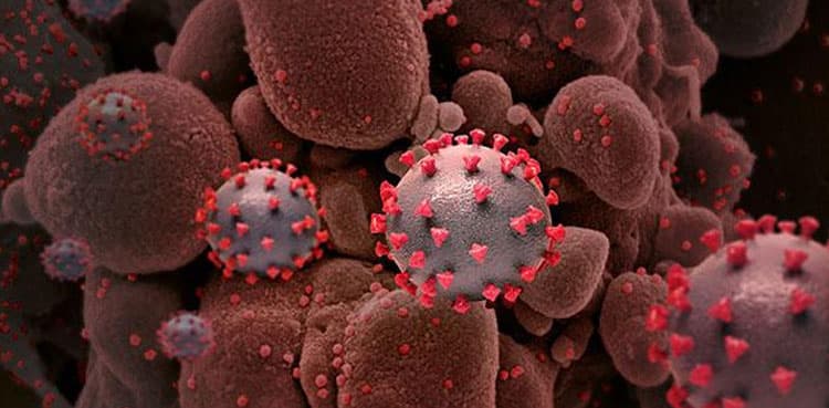 Suspected Omicron patient flees from quarantine facility in Karachi