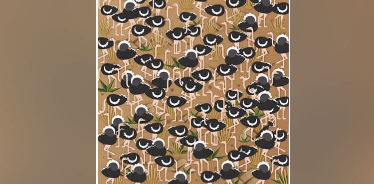 Find the hidden umbrella in puzzle