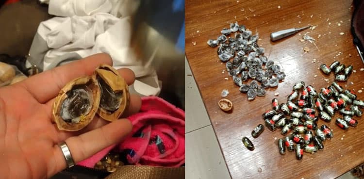 ANF recovers hashish concealed in walnuts at Islamabad airport
