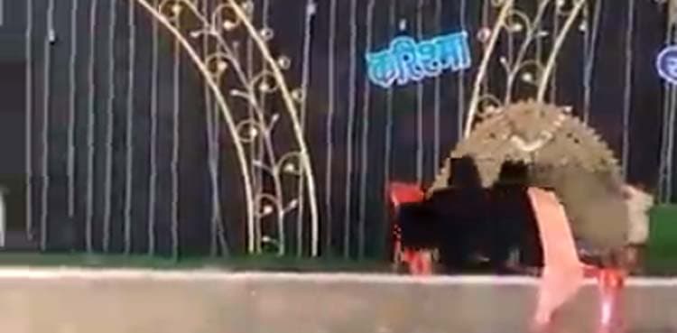Viral video: Mother bear, cubs gatecrash wedding ceremony