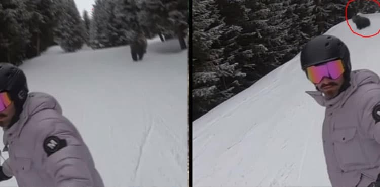 Man terrified after realising he was being pursued by bear