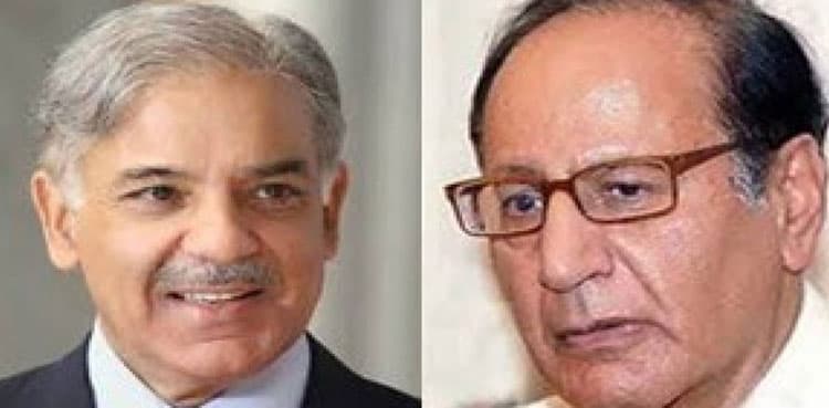 PML-N body suggests seat adjustment, not alliance with PML-Q