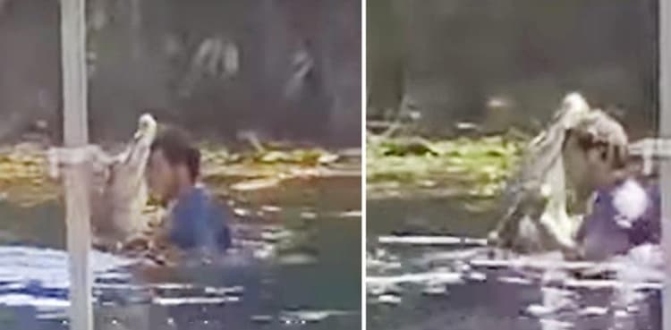 Man dances with alligator; video goes viral