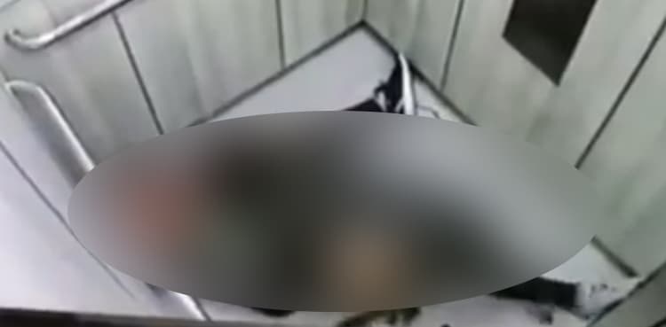 Horrific footage: Pet dog attack leaves woman seriously injured
