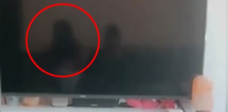 Viral video: TikToker spots 'ghost' sitting next to her on TV reflection