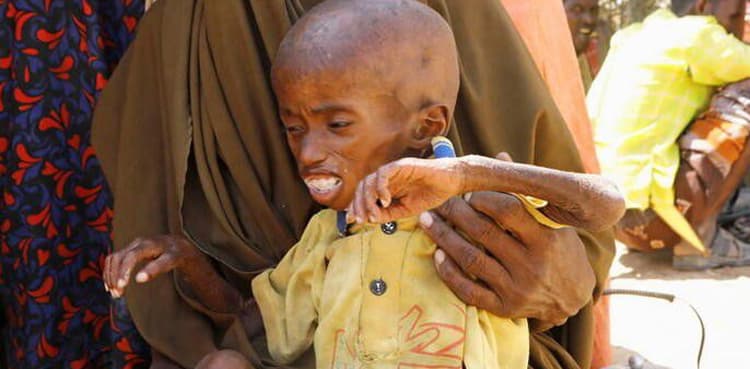 Somalia's worst drought in four decades means millions need aid