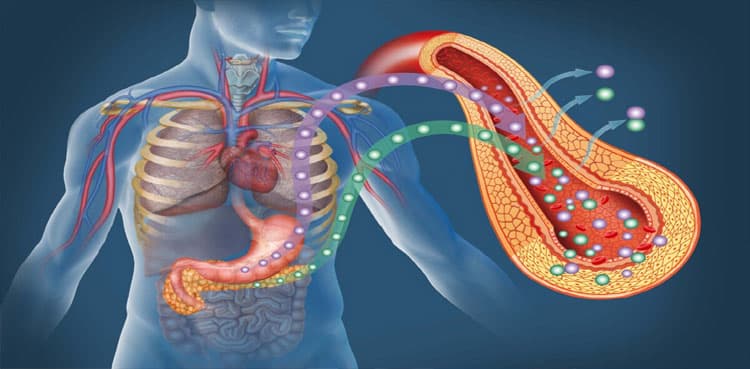 Researchers treat Diabetes using ultrasound pulses