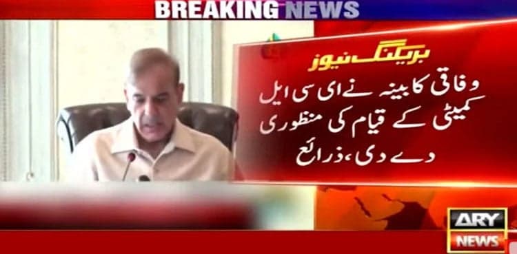 Cabinet okays formation of ECL committee