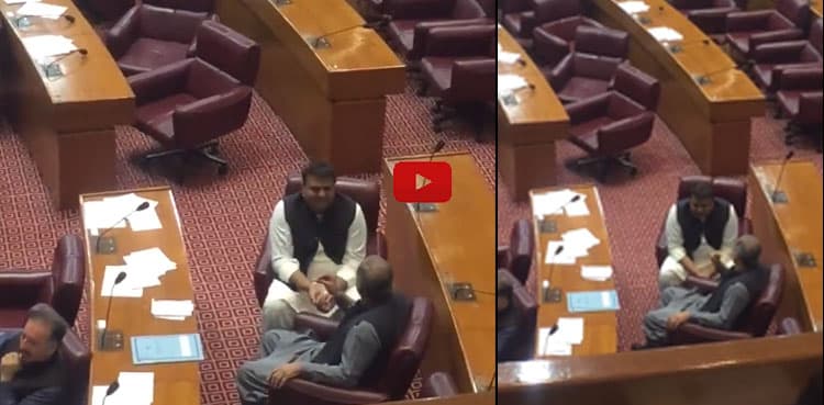 Watch: Fawad Chaudhry, Saad Rafique speak in whispers during NA session
