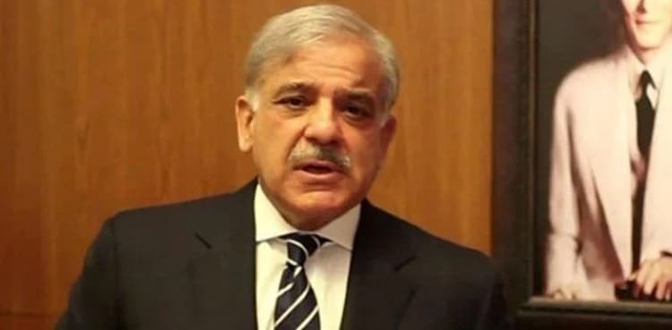 Shehbaz consults  with allies over cabinet formation