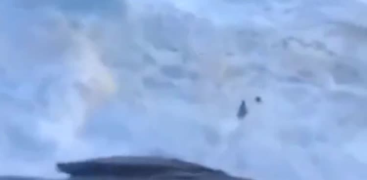 VIRAL: Surfer rescues lifeguard amid crashing waves