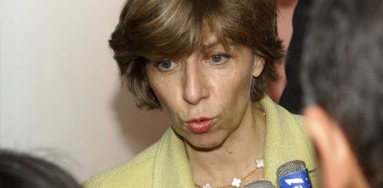 France FM calls for 'immediate and durable' Gaza truce