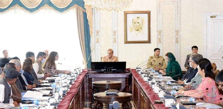 Govt forms task force to curb climate change